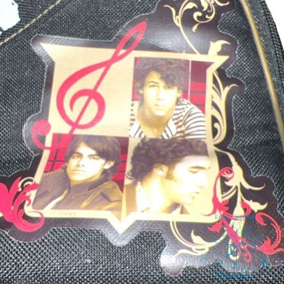 Rock Jonas Lunchbox by ZAK! - Preowned Jonas Brothers Lunch Bag - Picture 4 of 10